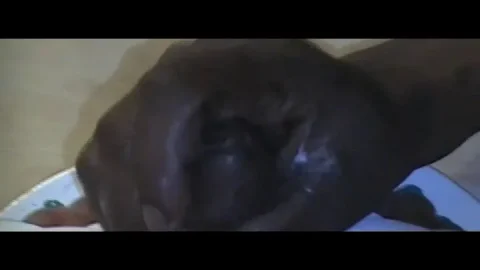 Girl Jerks Off & Tramples Cock With Flip-Flops
